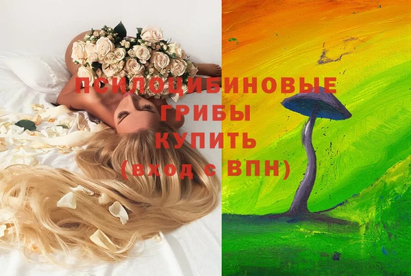 эйфоретик Баксан